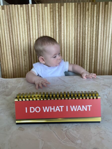 Photo of Baby saying "I Do What I Want"