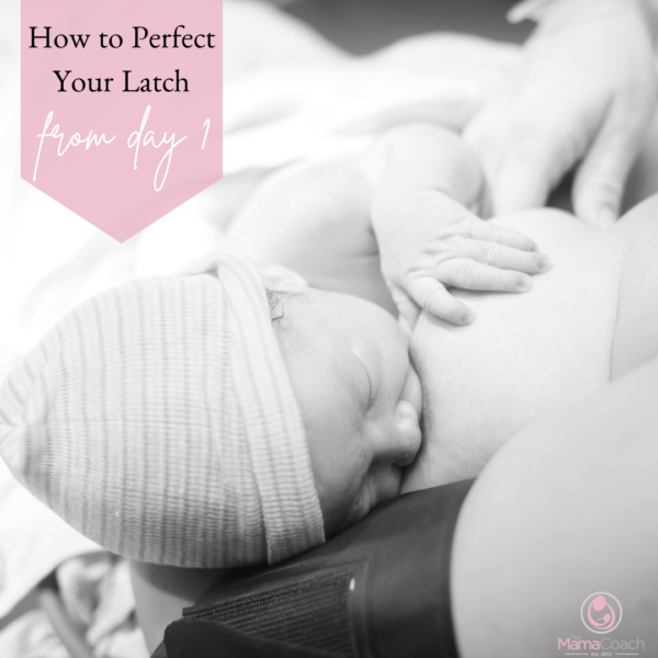 nursing perfect your latch with the mama coach
